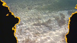 faythonfire.com - Bonus Update: Naked Snorkeling In Jamaica thumbnail