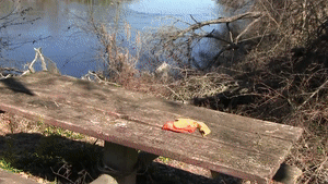 faythonfire.com - Riverside Huge Orange Blow & Bite to Pop thumbnail